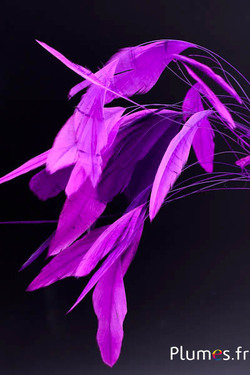 Coquetips - 13-18 cm - fuchsia-violet